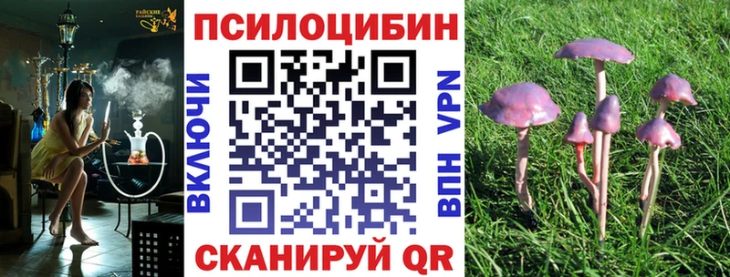 Псилоцибиновые грибы Magic Shrooms  Купить где  Пикалёво 